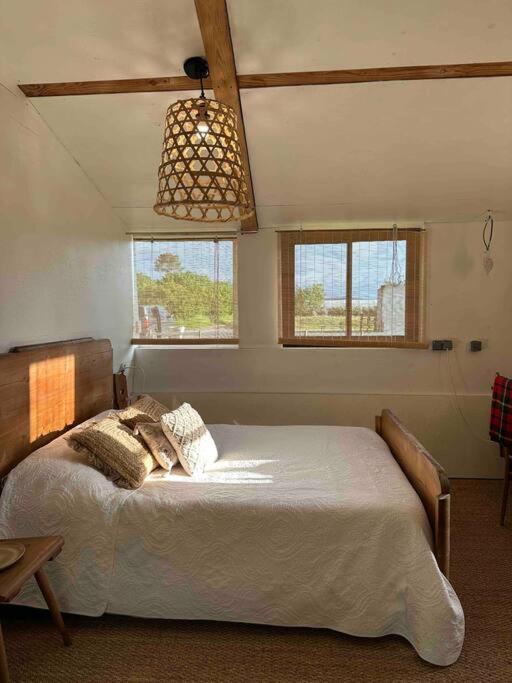 Cosy Cabane Boise Solaire, Balneo Bath Et Toilette Seche A La Ferme Mimizan-Plage Buitenkant foto