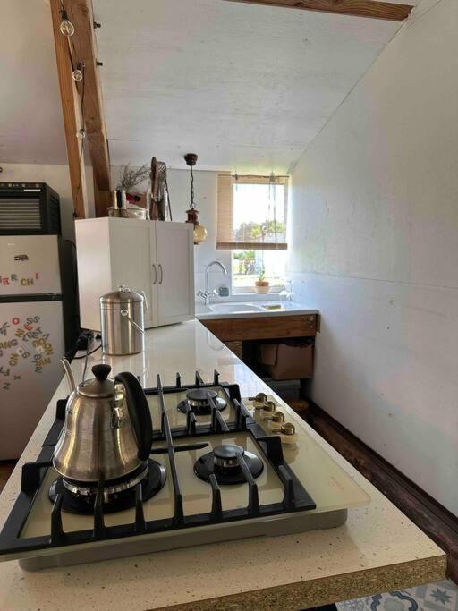 Cosy Cabane Boise Solaire, Balneo Bath Et Toilette Seche A La Ferme Mimizan-Plage Buitenkant foto